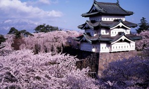 Visit Hirosaki in Aomori Prefecture