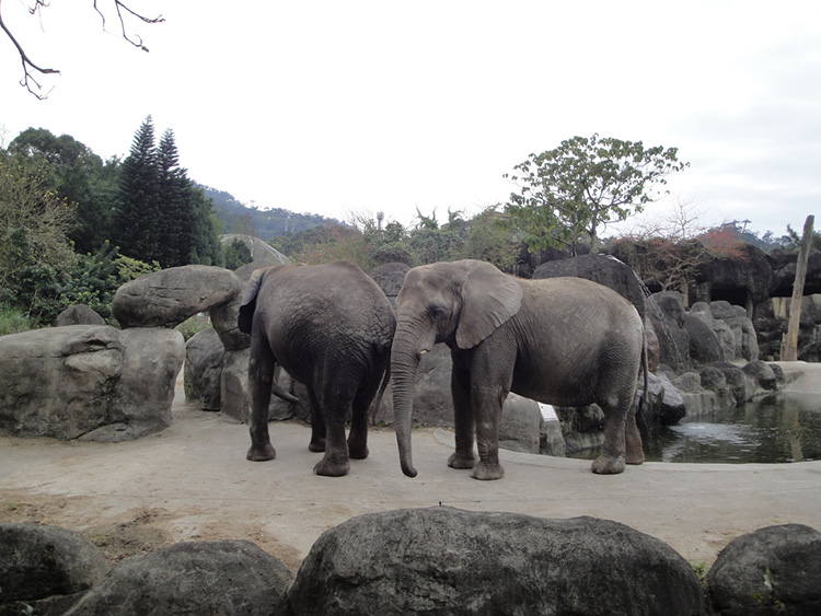 台北市立動物園