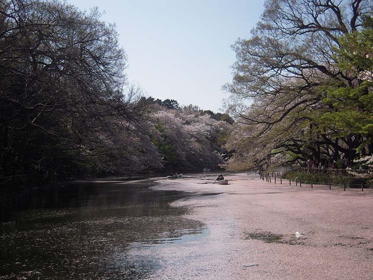 井之頭公園2