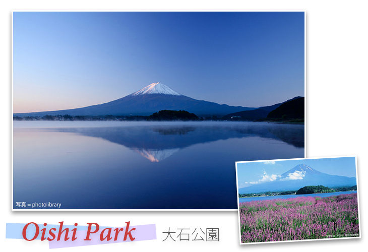 The Inverted Fuji at Oishi Park
