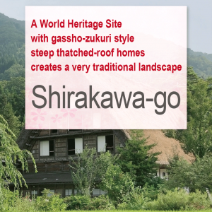 shirakawa-go tour