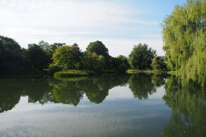 Nakajima Park