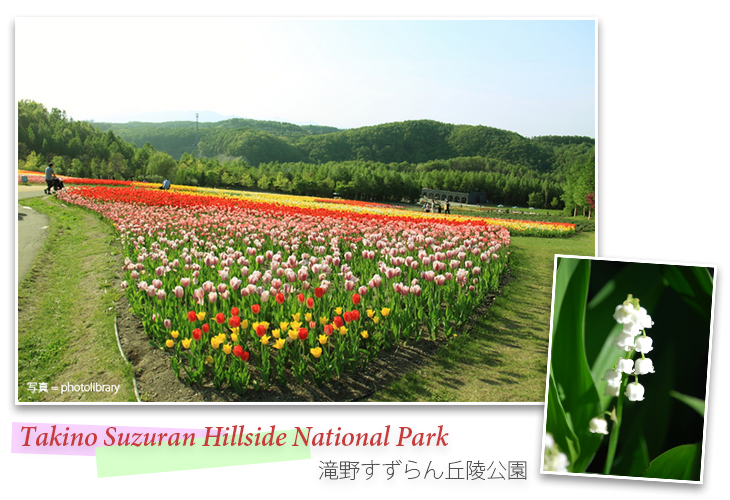 Takino Suzuran Hillside National Park