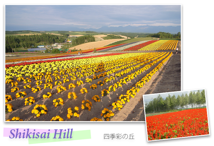 Shikisai Hill