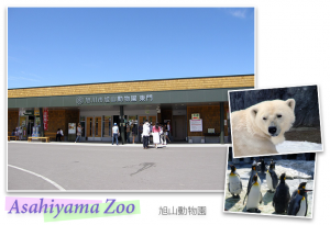 Asahiyama Zoo