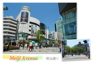 Meiji Avenue