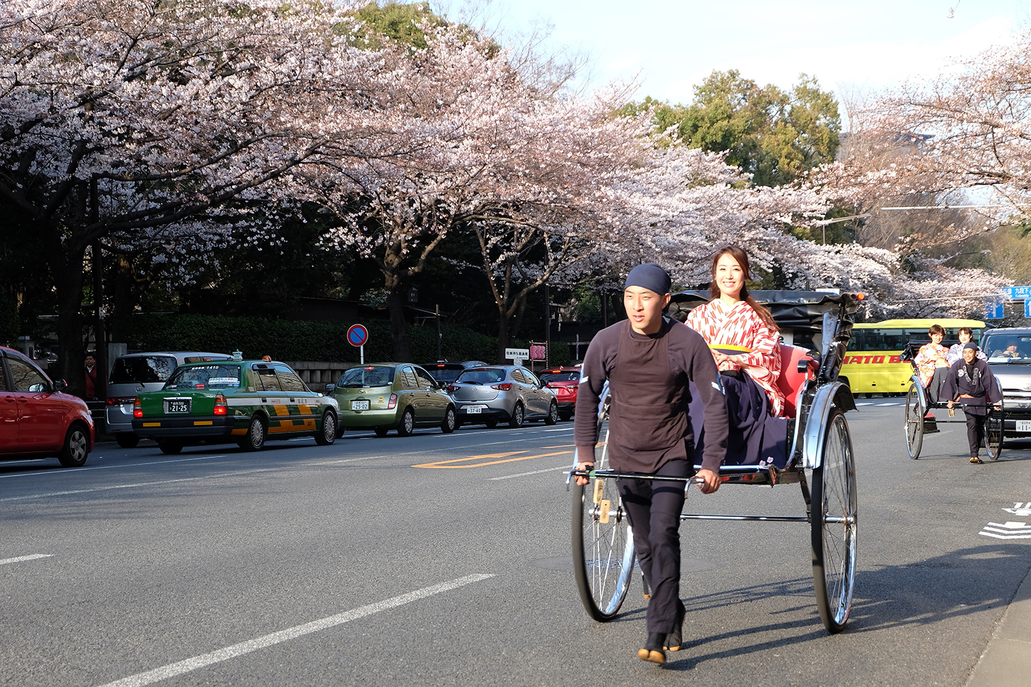 九段　桜